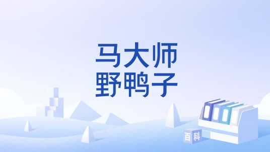马大师野鸭子