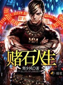赌石人生(寒少风创作的小说)
