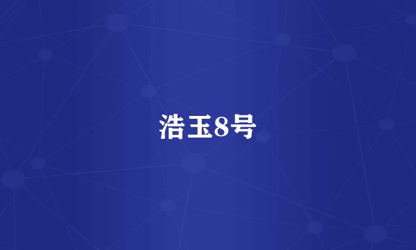 浩玉8号