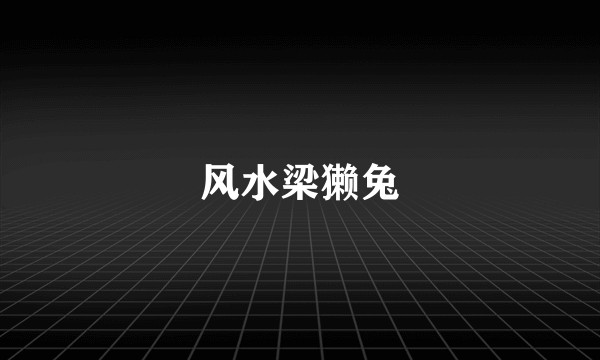 风水梁獭兔