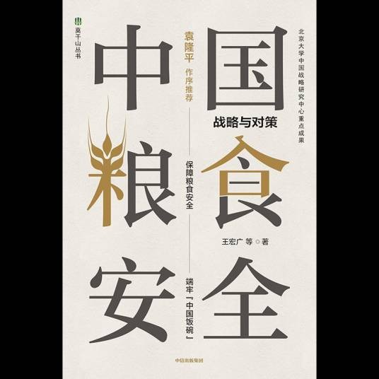 中国粮食安全(2020年中信出版集团出版的图书)