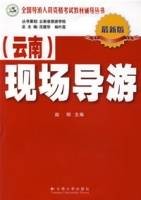 现场导游(云南)