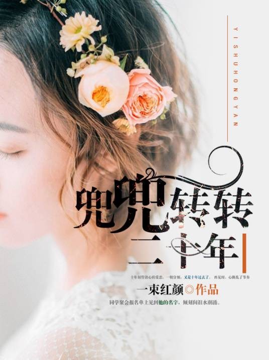 兜兜转转二十年