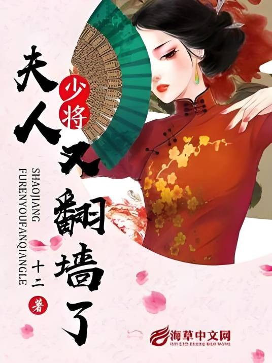 少将，夫人又翻墙了