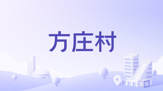 方庄村（河南省驻马店市正阳县乡下辖村）