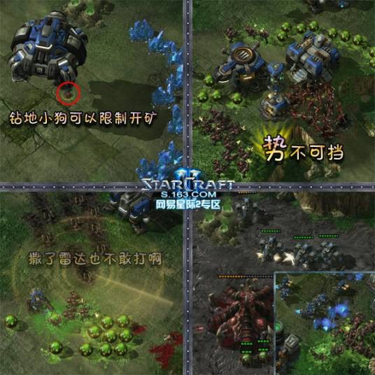 感染虫