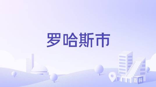 罗哈斯市