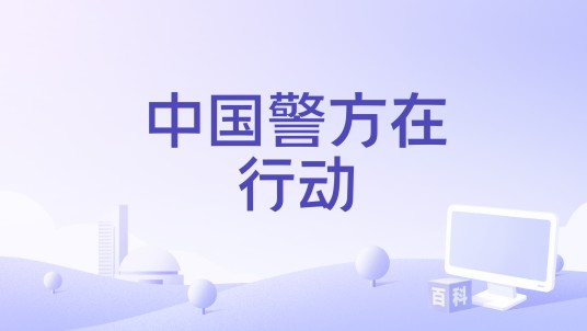 中国警方在行动