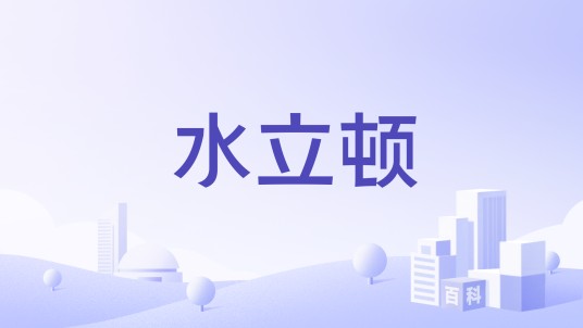 水立顿