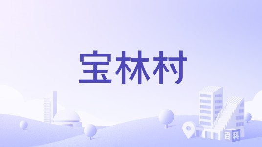 宝林村（江苏省镇江市丹阳市延陵镇下辖村）