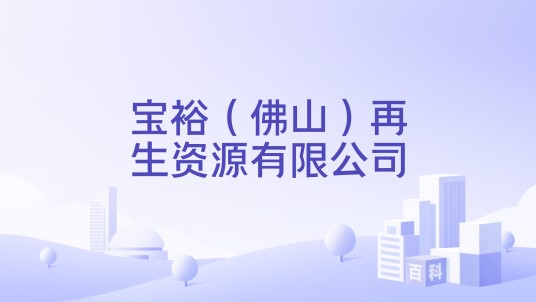宝裕（佛山）再生资源有限公司