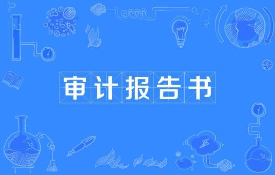 审计报告书