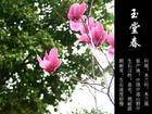 玉春堂