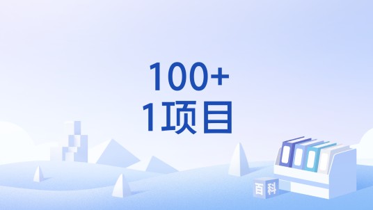 100+1项目
