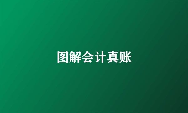 图解会计真账