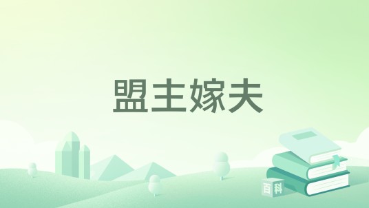盟主嫁夫
