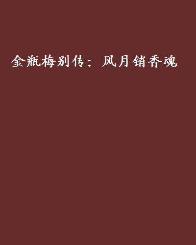 金瓶梅别传：风月销香魂