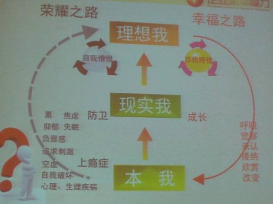 人格剖面图
