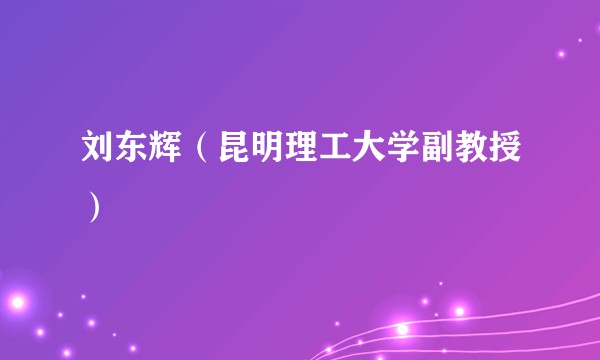 刘东辉（昆明理工大学副教授）