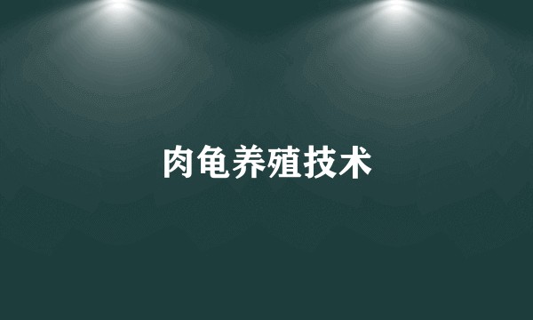 肉龟养殖技术