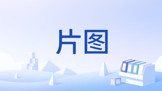 片图