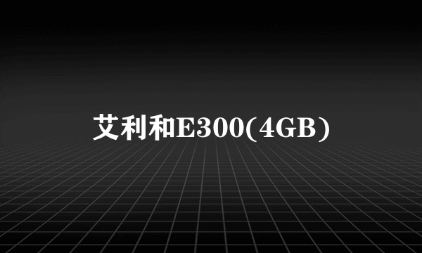 艾利和E300(4GB)