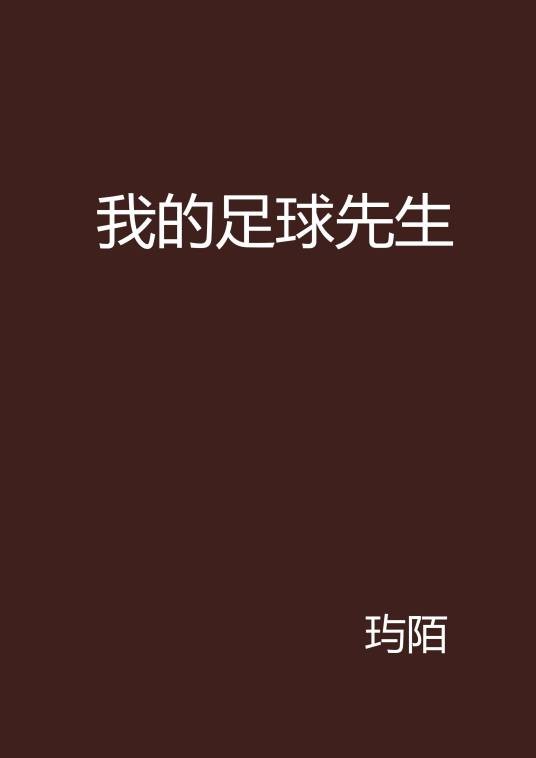我的足球先生（蚕宝宝教授创作的网络小说）