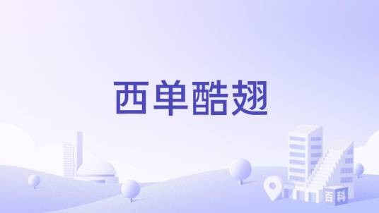 西单酷翅