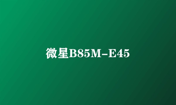 微星B85M-E45