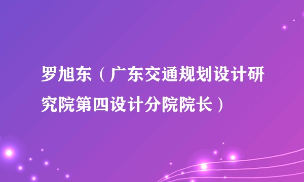 罗旭东（广东交通规划设计研究院第四设计分院院长）