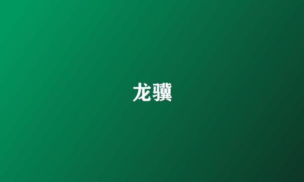 龙骥