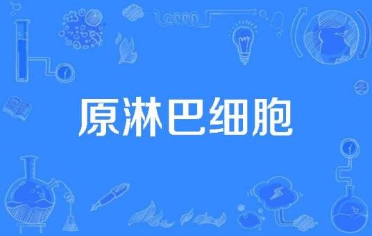 原淋巴细胞
