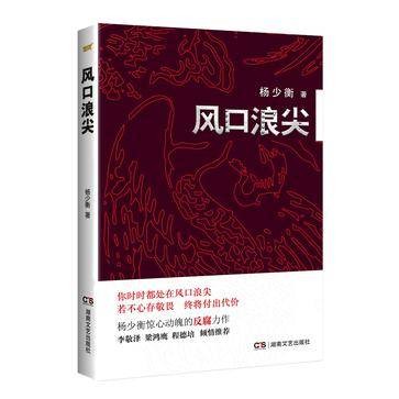 风口浪尖（2017年湖南文艺出版社出版的图书）