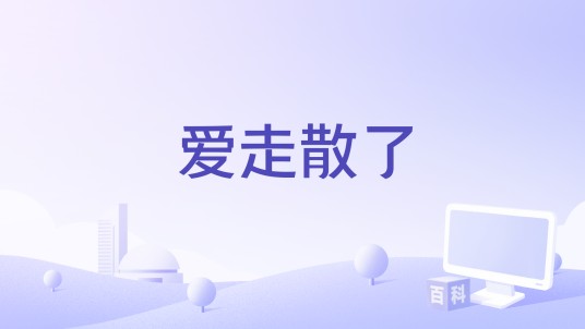 爱走散了