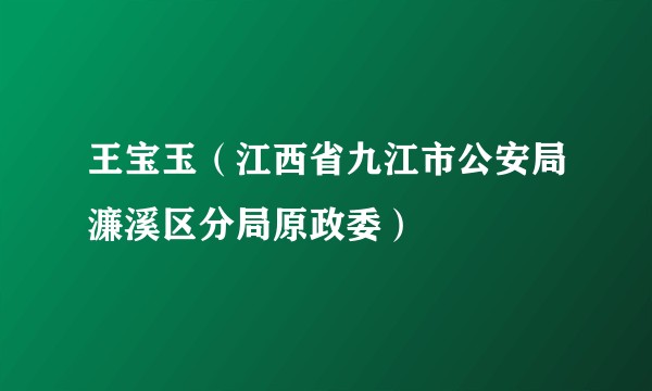 王宝玉（江西省九江市公安局濂溪区分局原政委）