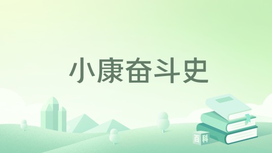 小康奋斗史