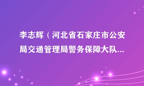 李志辉（河北省石家庄市公安局交通管理局警务保障大队大队长）