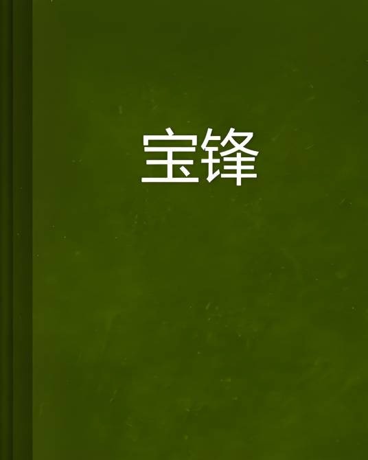 宝锋（引项朝天创作的网络小说）