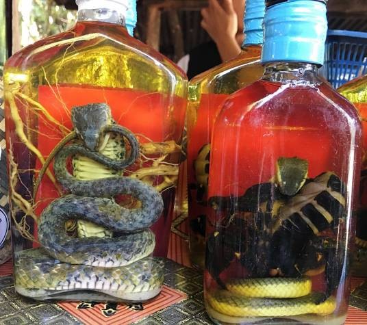 蛇酒