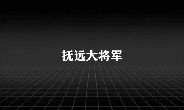 抚远大将军