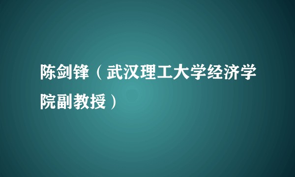 陈剑锋（武汉理工大学经济学院副教授）