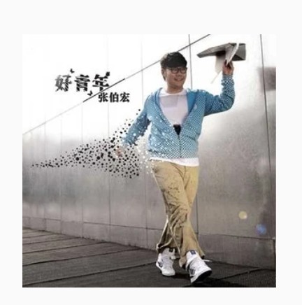 好青年（张伯宏《好青年》专辑中的歌曲）