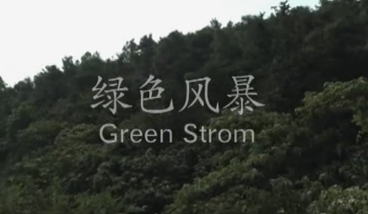 绿色风暴