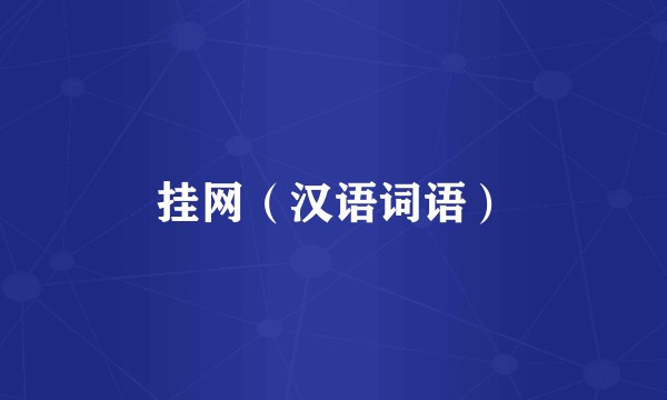 挂网（汉语词语）