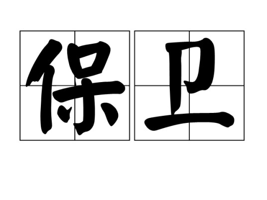 保卫（汉语词语）