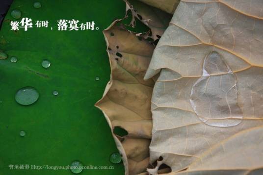 有时（汉语词语）