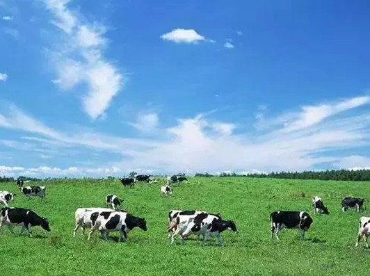 奶源