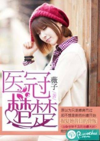 医冠楚楚（薇子创作的网络小说）