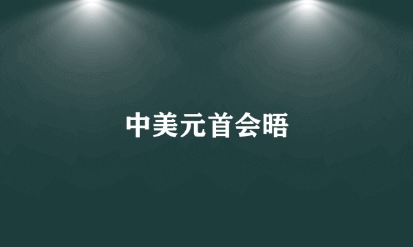 中美元首会晤