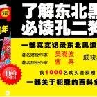东北往事：黑道风云20年（2009年重庆出版社出版的图书）